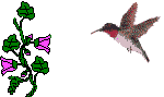 oiseau_076.gif